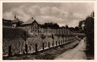 1931 Badacsony, kápolna, szőlőskertek, automobil