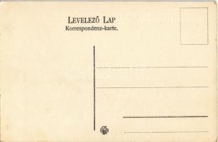 Budapest III. Óbuda, az I. cs. kir. szab. dunagőzhajózási társaság hajógyára, fűrésztelep / Schiffsw...