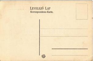Budapest III. Óbuda, az I. cs. kir. szab. dunagőzhajózási társaság hajógyára, gépműhely / Schiffswer...
