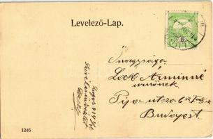 1914 Lugos, Lugoj; Besán bérpalota, Délmagyarországi Bank, Corso Kávéház / palace, grand cafe, bank ...