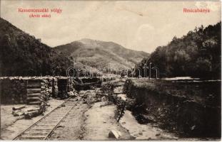 1913 Resicabánya, Resita; Kemenceszéki-völgy árvíz után, fűrésztelep, iparvasúti pálya / Cuptoare Secul after the flood, sawmill, industrial railway tracks