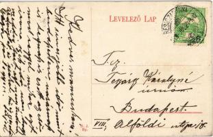 1913 Resicabánya, Resita; Kemenceszéki-völgy árvíz után, fűrésztelep, iparvasúti pálya / Cuptoare Se...