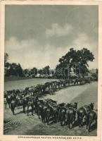 1940 Offizierspferde rasten während der Kritik. Phot. Archiv Die Wehrmacht / WWII German military officers horses resting - from postcard booklet