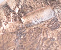 Ezüst(Ag) miniatűr hal, jelzett, 5×5,5 cm, nettó: 12,5 g