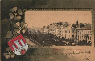 1901 Sopron, Deák tér. Címeres Art Nouveau litho keret (EK)