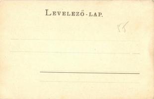 Arad, az aradi 1848-49-es szabadságharci ereklyemúzeum belsejéből. A küldöttségek szobája. Kiadja Ke...