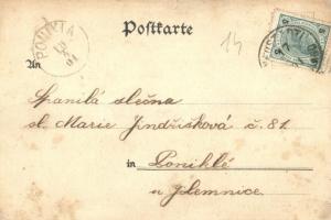 1901 Hajniste, Hegewald (Nové Mesto pod Smrkem); Kirchhof, Schule, Porzellan Fabrik Persch / churchy...