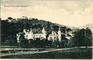 4 db régi városképes lap, ebből 3 erdélyi (Brassó, Máramarossziget) és 1 magyar (Örkénytábor) / 4 pr...