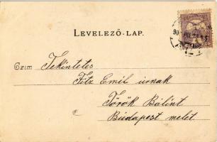 1900 Budapest XIV. Rákosfalva, Zöldike vendéglő, Budapest-Rákosi Polgári Kör