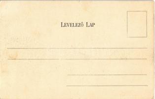 Budapest IV. Újpest, Vízművek és villamosgyár. Schön Bernát kiadása