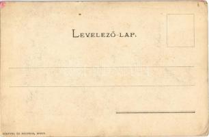 Budapest V. A Magyar Királyi Államvasutak Gépgyárának Vezérügynöksége. Váci körút. Art Nouveau reklá...