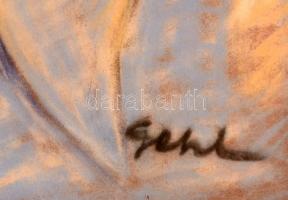 Géhl Zoltán (1888-1954): Nagypapa az unokával. Pasztell, papír, jelzett, üvegezett keretben, 34×48 c...