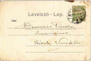 1905 Hódmezővásárhely, Városháza. Kiadja Dura Lajos (b)