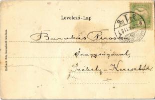 1902 Marosvásárhely, Targu Mures; Széchenyi tér, üzletek. Szecessziós virágos keret. Kiadja Holbach ...