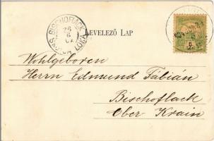 1904 Budapest XVII. Rákosliget, Gépház. Wollner Alajos kiadása (EK)