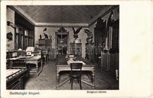 1911 Budapest II. Ornithológiai központ, Dolgozó-terem, belső (Madártani Intézet). Debrői út (ma Hermann Ottó út) (EK)