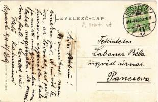 1911 Budapest II. Ornithológiai központ, Dolgozó-terem, belső (Madártani Intézet). Debrői út (ma Her...