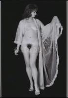 cca 1974 Műtermi álmok, vágyak és remények, szolidan erotikus felvételek, 7 db vintage negatív + 2 db mai nagyítás (nem a tételben szereplő negatívokról készültek), 24x36 mm és 25x18 cm