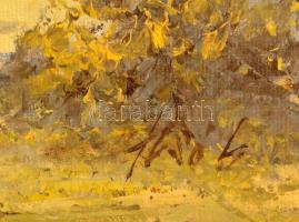 Izsó Lajos (?- ): Hernádparti ligetes, olaj, vászon-farost, jelzett, keretben, 24×30 cm