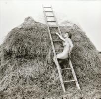 cca 1985 Ruha nélküli kalandok, szolidan erotikus felvételek, 7 db vintage negatív + 1 db mai nagyít...