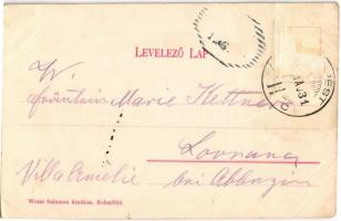 Budapest XI. Kelenföld, pályaudvar, vasútállomás, megrakott tehervonat. Weisz Salamon kiadása (Rb)