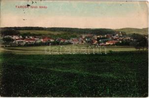 1912 Tarcsafürdő, Bad Tatzmannsdorf; látkép. Kiadja Rehling János / general view, spa (EK)