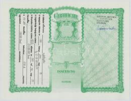 1991. "Turul Nemzetközi Biztonságtechnikai Részvénytársaság" névre szóló tíz darab részvén...