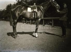 cca 1920 Katonai felvételek, ismeretlen család hagyatékából, 13 db vintage negatív, 4,5x6,5 cm