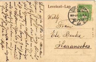 1910 Budapest V. Országház a jövőben, montázs / in the future montage