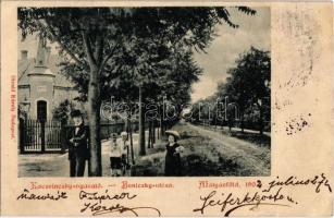 1904 Budapest XVI. Mátyásföld, Beniczky utca, Kaczvinczky nyaraló. Divald Károly, Strelisky fényképezte (apró szakadás / tiny tear)