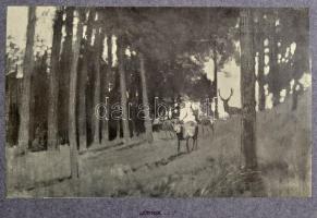 Bársony István 2 munkája (egybekötve): Magyar földön. Természet és vadászat. Olgyay Ferenc képeivel....