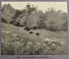 Bársony István 2 munkája (egybekötve): Magyar földön. Természet és vadászat. Olgyay Ferenc képeivel....