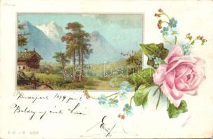 1898 Flowers Litho