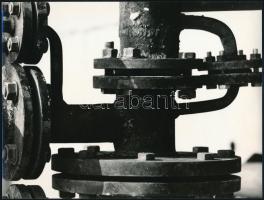 cca 1975 Kalocsai Rudolf (?-?) budapesti fotóriporter és fotóművész hagyatékából 2 db jelzés nélküli...