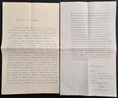 1923-1936 2 db okmány: Jendrassik Loránd orvos-fiziológus levele pályázati bírálóbizottság részére, illetve vallás- és közoktatásügyi minisztériumi levél hiteles másolata Ortvay Rudolf fizikus indiai tanulmányútjának támogatásáról