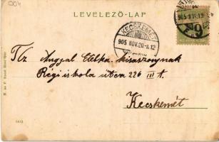 1905 Budapest V. Központi Egyetem, villamos (EK)