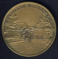 Hollandia DN "Vincent van Gogh" nagyalakú Br emlékérem, modern T:1 Eredeti díszdobozban, t...