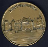 Hollandia DN "Johan van Oldenbarnevelt" nagyalakú Br emlékérem, modern T:1 Eredeti díszdob...