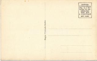 Szentgotthárd, Játszótér, Iskolaszanatórium Fenyvesrészlet a sétánnyal, sátor