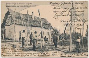 1905 Mohács, Halásztanya a szigeten, halászháló szövés. Weiser Miksa kiadása
