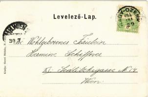 1904 Nagycenk, Széchenyi szobor, Gróf Széchenyi családi sírbolt és kastély.  Gerstl Náthán kiadása