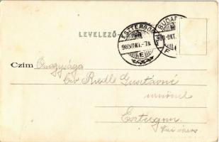 1903 Budapest XXII. Kistétény, Állami elemi iskola. Taub Adolf kiadása