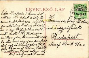 1911 Miskolc, Avasi új park. Divald Károly fia