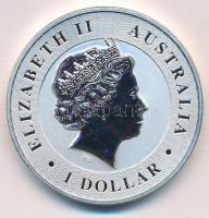 Ausztrália 2016. 1$ "II. Erzsébet / Ausztrál Kenguru" (1oz/0.999) T:BU
Australia 2016. 1 ...