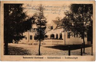 Nagyszeben, Hermannstadt, Sibiu; Restaurantul Dumbravei / Waldwirtshaus / Erdővendéglő, étterem. Krafft & Drotleff A.-G. 5. / restaurant (EK)