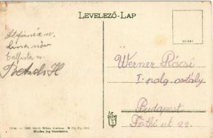 Máriabesnyő (Gödöllő), utcakép, üzlet, Reich Miksa kiadása