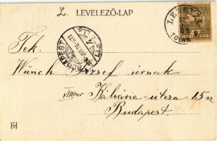 1909 Lengyel, Vendéglő a lengyeli erdőben a fürdő mellett, lovashintó. Hoffer József kiadása