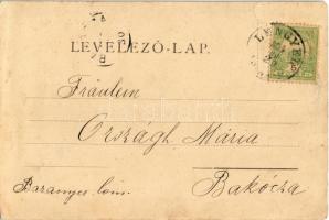 1904 Lengyel, Apponyi kastély déli oldala. Hoffer József kiadása  (EK)