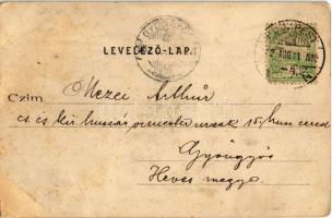 1902 Budapest XII. Zugliget, Laszlovszky hegy, nyaralók , villák. Divald Károly 175. sz. (megerősíte...