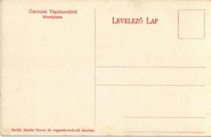 Tápiószele, Községháza. Szelik Aladár kiadása